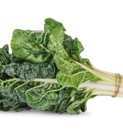 Silverbeet
